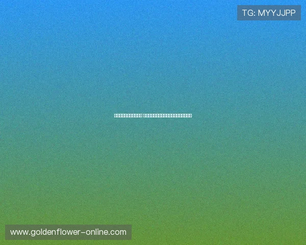 广州色彩跑活动盛大启幕 繽纷色海点亮城市街头，尽情释放青春活力